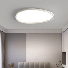 Modern Oval Round Led Ceiling Lights Living Room Bedroom Office Coffee Shop Apartment Villa Indoor Lighting Decor Lamps Dimmable