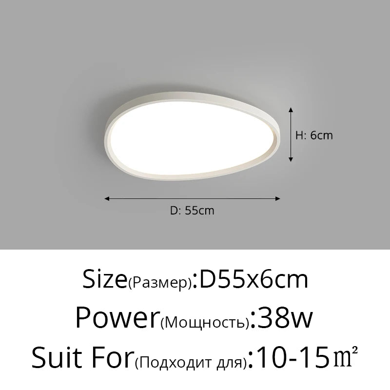 Modern Oval Round Led Ceiling Lights Living Room Bedroom Office Coffee Shop Apartment Villa Indoor Lighting Decor Lamps Dimmable